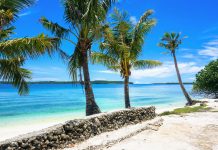 デスティネーション・グアム – トップ医師とAI企業が太平洋の島に向かう理由