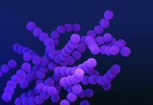 血液感染の重症化を識別するAI技術