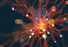 乳がんMRI検査でAI異常検出モデルが高精度を実現