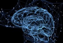 AIミリ波レーダーで皮膚に触れずに動脈硬化を多部位同時計測