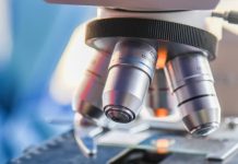 オランダ最大級の病理検査機関Pathan – 病理診断AI開発でAiforiaと提携