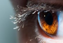 乳がん識別AI – 人の学習過程を模倣したAIが放射線科医のパフォーマンスを凌駕