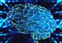 MRI前立腺分割・がん検出の連合学習最適化シミュレーション研究