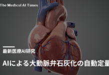 AIによる大動脈弁石灰化の自動定量