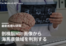 剖検脳MRI画像から海馬亜領域を判別するAI