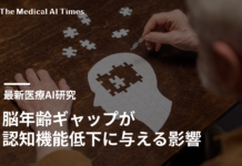 脳年齢ギャップが認知機能低下に与える影響