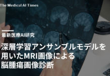 深層学習アンサンブルモデルを用いたMRI画像による脳腫瘍診断