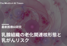 乳腺組織の老化関連核形態と乳がんリスク – AIによる評価