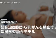 超音波画像から乳がんを検出する深層学習融合モデル