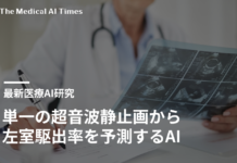 心機能評価の革新:単一の超音波静止画から左室駆出率を予測するAI