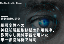網膜変性への神経前駆細胞移植の作用機序、教師なし機械学習を用いた単一細胞解析で解明