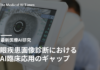 眼疾患画像診断におけるAI臨床応用のギャップ