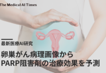 卵巣がん病理画像からPARP阻害剤の治療効果を予測するAI