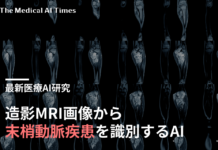 造影MRI画像から末梢動脈疾患を識別するAI