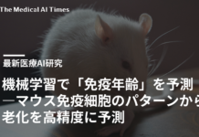 機械学習で「免疫年齢」を予測―マウス免疫細胞のパターンから老化を高精度に予測
