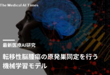 転移性脳腫瘍の原発巣同定を行う機械学習モデル