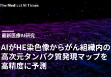 AIがHE染色像からがん組織内の高次元タンパク質発現マップを高精度に予測