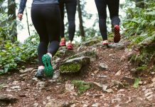 機械学習研究 – 1日の歩数が健康を規定する