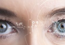 ドライアイを光干渉断層撮影から診断するAI