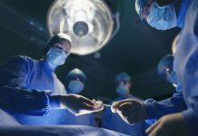 独ドレスデン工科大学 – 生体移植可能なAIシステム開発