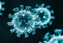 電子カルテとAI – 新型コロナウイルス感染後の死亡リスクを高める46の危険因子を特定