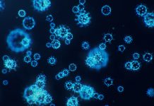 呼気から新型コロナウイルス感染を高精度識別