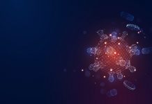 インフルエンザとの類似性からCOVID-19の広がりを予測