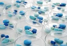 耐性菌の迅速検査に向けたセンサー開発