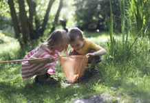 機械学習で自閉スペクトラム症の血中バイオマーカーを特定