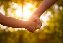 牛肉の鮮度を推定する機械学習アルゴリズム