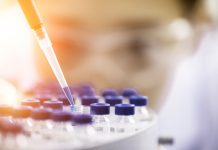 転移細胞の画像から原発巣を特定するAIアルゴリズム