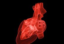 スマートスピーカーを利用した心拍モニタリングシステム