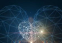 受精胚の染色体情報をタイムラプス画像から評価