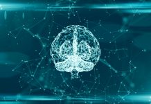 脳年齢を睡眠時の脳波で予測するAI研究