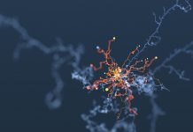 病理AIの遺伝子変異予測、交絡因子依存の可能性