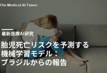 胎児死亡リスクを予測する機械学習モデル:ブラジルからの報告