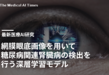 網膜眼底画像を用いて糖尿病関連腎臓病の検出を行う深層学習モデル